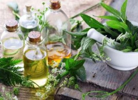 تصویر 3 از خرید و قیمت عرق خارشتر اصل + فروش صادراتی